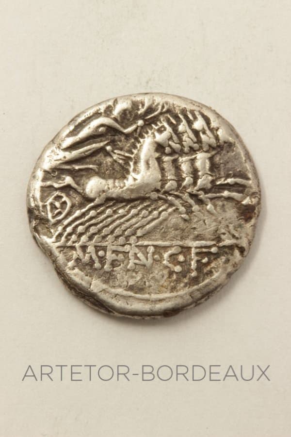 Denier Fannia - photo 2