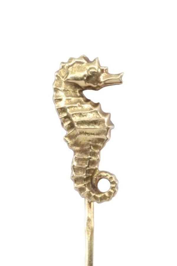 Épingle Hippocampe