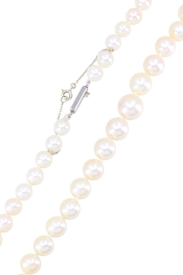 Collier de Perle en Chute - photo 3