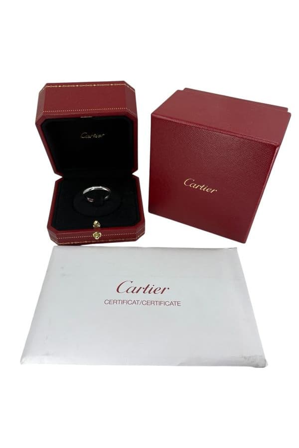 Alliance Cartier 1895 Platine - photo 5