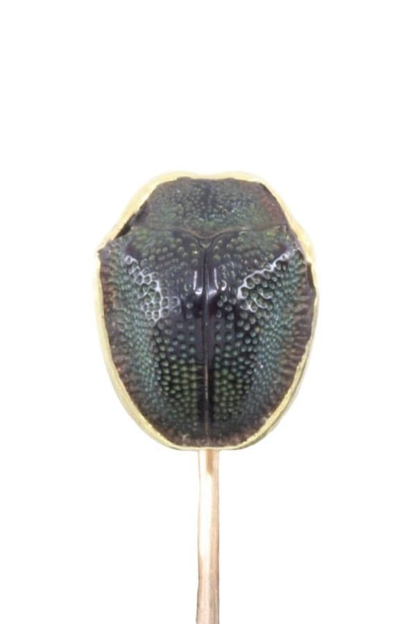 Épingle Scarabée - photo 2