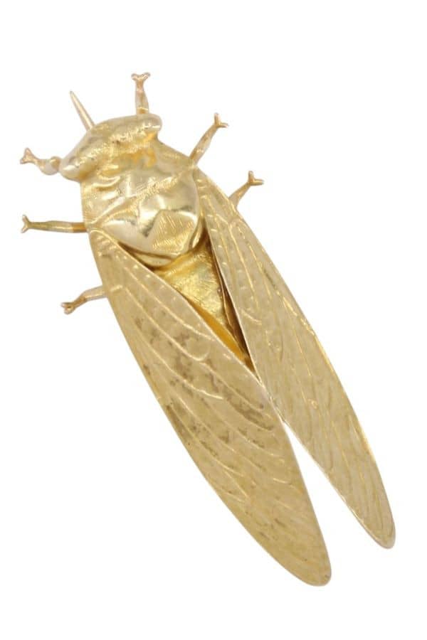 BROCHE CIGALE, photo 2 sur 3