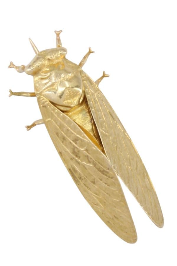 Broche Cigale